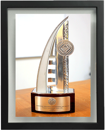 Industry Excellence Award (Product) 2010, MITI