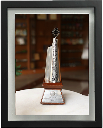 Award_Industry Excellence Award (Export) 1994, MITI