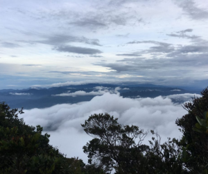 gunung rajah pahang