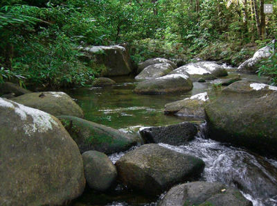 Source: Johor National Parks Corporation