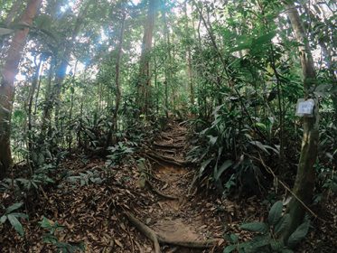 gunungberembun.JPG